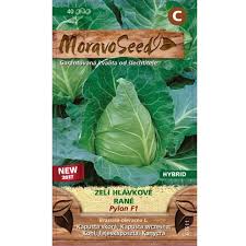 Image result for hlávková kapusta