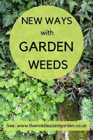 From crab grass to bindweed, discover some of the common garden weeds you may need to deal with, and find out what to do about them. The New Approach To Garden Weeds And Why You Need It The Middle Sized Garden Gardening Blog
