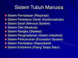 Pekerja yang mempunyai suhu badan melebihi 37.5 darjah celsius dan bergejala adalah tidak dibenarkan untuk bekerja dan dikehendaki untuk menjalankan ujian saringan covid 19 di Pernafasan Dan Pengawalan Suhu Badan Dikawal Oleh Malaynahdi