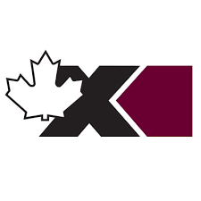 Elections Canada On Twitter Elections Canada Does Not Use Dominion Voting Systems We Use Paper Ballots Counted By Hand In Front Of Scrutineers And Have Never Used Voting Machines Or Electronic Tabulators