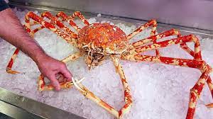 Japanese Street Food - $500 Giant Spider Crab Seafood Okinawa Japan -  Youtube