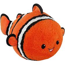 These fish tacos are delicious and light. Squishable Clownfish Over The Rainbow