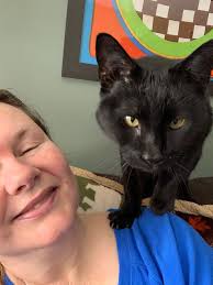 Wish Litter Update in Stray Animal Adoption Program