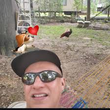 Árbol de Cutuco, muy famoso en el Oriente ...quién más de alguna vez  elaboró capiruchos ...un juego típico de infancia.