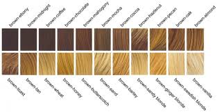 Genetics Unit Brown Hair Color Shades Chart