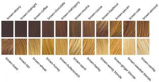 genetics unit brown hair color shades chart