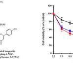 Acetylation Enhances the Anticancer Activity and Oral ...