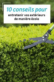 Nos Idees De Nettoyage Ecologique Pour L Exterieur En 2020 Produits De Nettoyage Naturels Nettoyage Naturel Exterieur