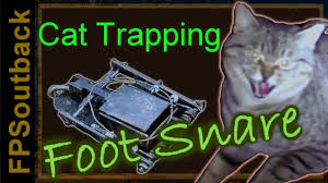 Or (ii) a native fauna conservation program approved by the. Feral Cat Trapping With The Foot Snare Youtube