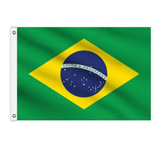 The vertical version is simply the flag turned they both trace their common ancestry to the flag of the united kingdom of portugal, brazil and the. Shop For Brazil Flags Bannerbuzz