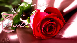 صور حب صباح الخير حبيبي الوليد Flowers Rose Plants
