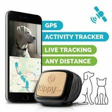 Now you can let your cat run free, because when you need you will easy find it with new gps collar developed for cats. Collar Pet Trackers For Sale Ebay