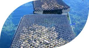 We found 136 results for lawn garden equipment supplies in or near oyster bay, ny. Aquaculture Equipment For Oyster Mussel And Other Farmings Intermas