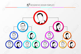 Organization Chart Concept Infographic Design Template Vector