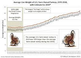 There largest turkey on record weighed 86 pounds and was auctioned off at a charity. Political Calculations How Big Can A Turkey Get