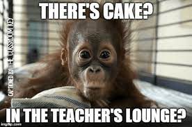 Teacher Funnies 14 Baby Orangutan Cute Baby Animals Orangutan