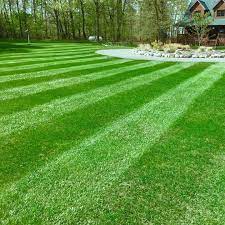 Providing lawn care/maintenance in ne columbia and blythewood. True North Lawn And Landscape Home Facebook