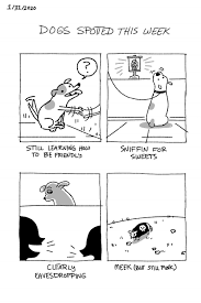 Good Boy Report Artist Draws Dogs Spotted That Week Artist Comic Artist Drawings