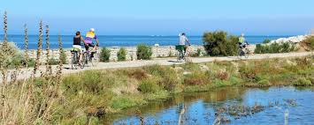 Fahrradrouten Und Verleih Destination Ile De Re