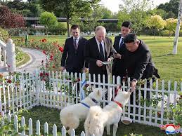 Kim Jong-un gifts Vladimir Putin hunting dogs known for biting victims in  the throat during visit - The Mirror US