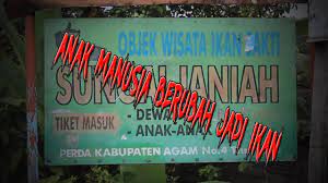 Ia pun segera putar arah dan mobil rombongan di belakang mengikutinya di belakang. Ikan Sakti Sungai Janiah Anak Manusia Berubah Jadi Ikan Youtube