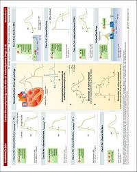 Memocharts Pharmacology Drug Therapy For Cardiac