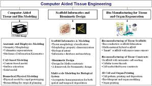 One might have some i deas in mind regarding design, like creating appealing visuality or sketching drafts. Bio Cad Modeling And Its Applications In Computer Aided Tissue Engineering Sciencedirect