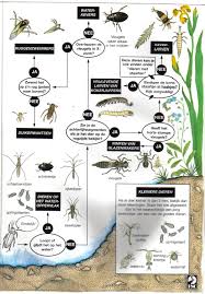 zoekkaart zoetwater 4 natuuractiviteiten natuur biologie