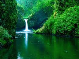 Please contact us if you want to publish a 4k nature wallpaper on our site. Nature Uhd Wallpapers Wallpaper Cave