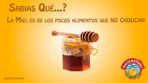 Naturasol on X: 