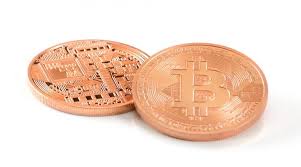 Pup major will be bringing his family, consisting of his human mom, human dad and puppy sister, along to live with him at the white doghouse. Op Ed In Defense Of Bitcoin A Response To Nouriel Roubini Nasdaq