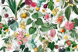 Check out our botanical wallpaper selection for the very best in unique or custom, handmade pieces from our wallpaper shops. A Wallpaper With A White Background And Botanical Drawings Of Colourful Flowers And Fruit Cara Saven Wall Design