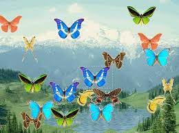 Discover free hd butterfly png images. Animated Screensaver Animated Butterfly Pond Screensaver 1 0 Free Download Animated Animated Screensavers Butterfly Wallpaper Backgrounds Butterfly Photos