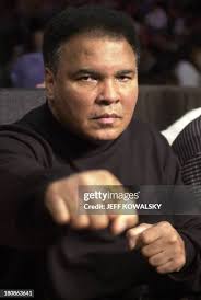 23 Jeff Lenhart Stock Photos, High-Res Pictures, and Images