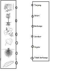 Dunia Sains Teknologi 2013