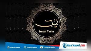 Surat yasin full ( surat yasin lengkap ) 83 ayat dan artinya dan surah yasin latin, surat ini terdiri atas 83 ayat. Surah Yasin 83 Ayat Lengkap Dengan Arti Dan Doanya Halaman All Tribun Manado