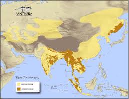 Black Bear Range Map This Map Kind Of Says It All The Tigers Are Losing Their Home Save The Tiger Panthera Wild Tiger
