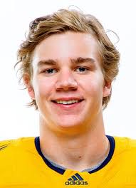 Player photos for the 2013-14 Connecticut Oilers at hockeydb.com