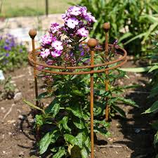 Discover over 8749 of our best selection of related search, hot search, ranking. Garden Plant Support Tunnels Metal Pair Of Large 2 4m Agriframes Black Metal Garden Obelisks Shop For Growing Kits Seed Trays Propagators And Plant Supports At Wilko