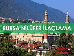 Zur navigation springen zur suche springen. Nilufer Ilaclama Resmi Web Ilaclama Ve Dezenfeksiyon