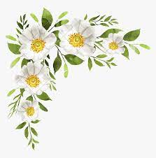 Large collections of hd transparent white flower png images for free download. Transparent Flower Bouquet Clipart White Flowers Transparent Png Png Download Transparent Png Image Pngitem