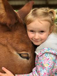 When a Mule Lacks a Leader