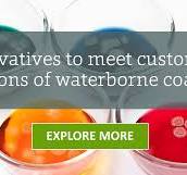 Biocides for Paint & Coatings: Main Types and Selection Criteria