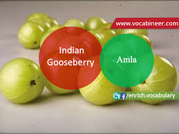Picture Vocabulary Urdu Hindi To English Vocabulary Vegetables Vocabulary With Pictures In Hindi Urdu V Name Of Vegetables English Vocabulary Learn English
