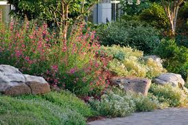 Try to cover as much of the surface as possible with rocks and plants. Create A Rock Garden Tips For Success Hgtv