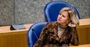 Uw bericht komt dus niet bij een politicus terecht. Minister Van Nieuwenhuizen Wil Reizigersverklaring Invoeren Binnenland Bd Nl
