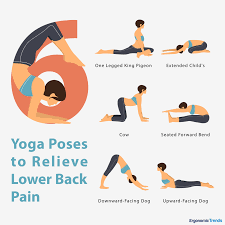 Plank pose is a good yoga pose for back pain for several reasons. 6 Yoga Poses To Help Alleviate Back Pain Laptrinhx