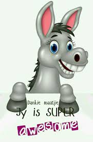 Hallo Sus Cartoon Animals Cartoon Animal Clipart