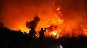 Etiketa a ohľaduplnosť voči miestnym obyvateľom po požiaroch v Turecku