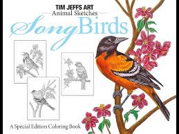 Download animal coloring sheets for free. Flip Through Of Song Birds Coloring Book By Tim Jeffs Youtube